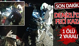Denizli'de feci kaza 1 ölü 2 yaralı
