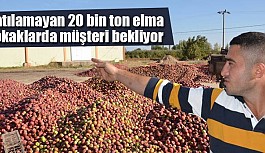 Satılamayan 20 bin ton elma sokaklarda müşteri bekliyor