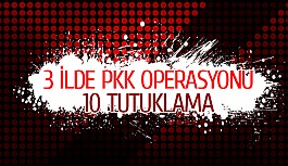 3 ilde pkk operasyonu: 10 tutuklama
