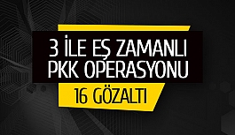 3 ile eş zamanlı PKK operasyonu: 16 gözaltı