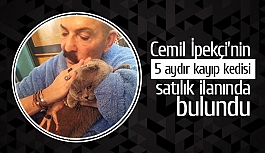 Cemil İpekçi’nin 5 aydır kayıp kedisi satılık ilanında bulundu