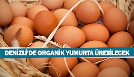 Denizli’de organik yumurta üretilecek
