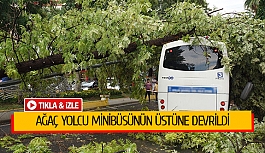 Ağaç yolcu minibüsünün üstüne devrildi
