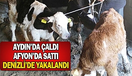 Hayvanları Aydın’da çaldı Afyon’da sattı Denizli’de yakalandı