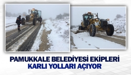 Pamukkale Belediyesi ekipleri karlı yolları açıyor