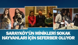 Sarayköy’ün minikleri sokak hayvanları için seferber oluyor
