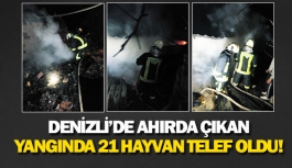 Denizli’de ahırda çıkan yangında 21 hayvan telef oldu!  