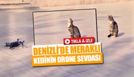 Denizli’de meraklı kedinin drone sevdası 