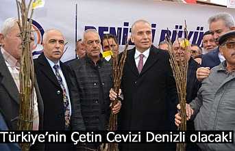 Türkiye’nin Çetin Cevizi Denizli olacak!