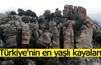 Türkiye'nin en yaşlı kayaları