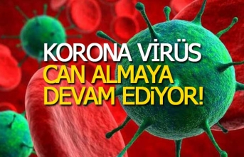 Korona virüs bir cana daha kıydı