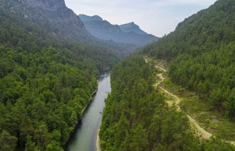 Muğla Sığla Ormanları'nın korunacak alanları yeniden belirlendi