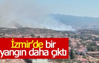 İzmir'in ilçesinde yangın çıktı