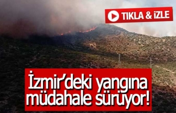 İzmir’deki yangına müdahale sürüyor!