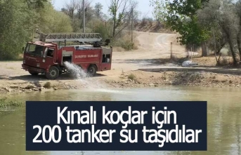 Kınalı koçlar için 200 tanker su taşıdılar