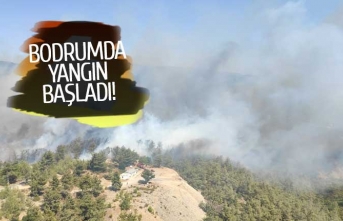 Bodrum'da orman yangını başladı!