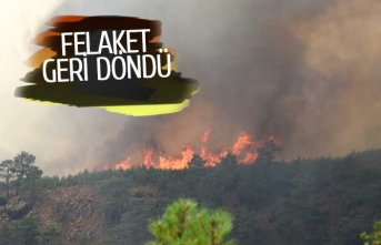 Denizli-Muğla sınırında orman yangını