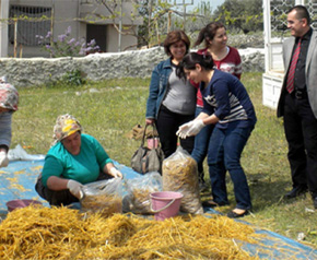 Kadın çiftçilere özel eğitim