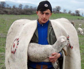 Diplomalı çobanlar iş başında