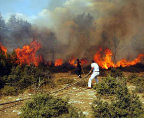 Çameli’de orman yangını