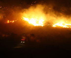 Urla’da orman yangını