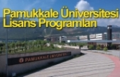 Pamukkale üniversitesi hakkında detaylı bilgi