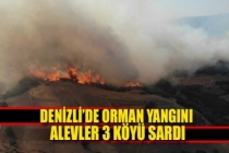Denizli'de orman yangını!