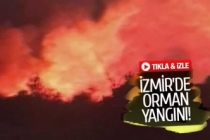 İzmir'de orman yangını! (GÖRÜNTÜLÜ)