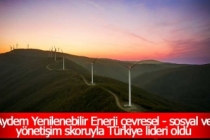 Aydem Yenilenebilir Enerji çevresel - sosyal - yönetişim skoruyla Türkiye lideri oldu