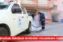 Pamukkale Belediyesi sivrisinekle mücadelesine başladı