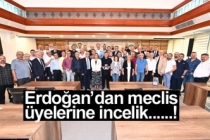 Erdoğan’dan meclis üyelerine incelik!