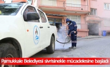 Pamukkale Belediyesi sivrisinekle mücadelesine başladı