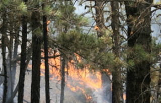 Orman yangınlarında risk dönemi başladı