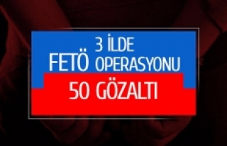 3 ilde FETÖ operasyonu 50 gözaltı