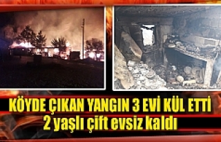 Köyde çıkan yangın 3 evi kül etti