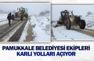 Pamukkale Belediyesi ekipleri karlı yolları açıyor