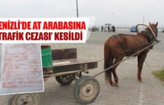Denizli’de at arabasına ‘trafik cezası’ kesildi 