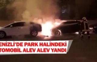 Denizli’de park halindeki otomobil alev alev yandı