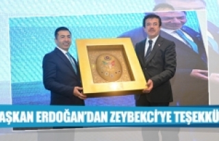 Başkan Erdoğan’dan Zeybekci’ye teşekkür