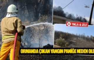 Ormanda çıkan yangın paniğe neden oldu