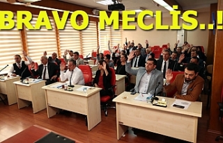 Bravo Meclis!