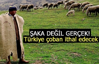 Türkiye çoban ithal edecek