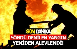 Denizli'de yangın yeniden başladı
