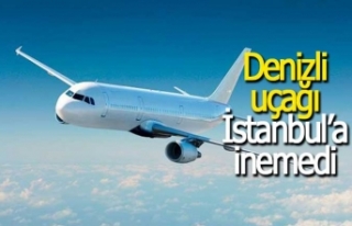 Denizli uçağı İstanbul’a inemedi