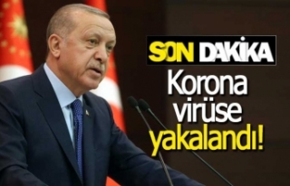 Cumhurbaşkanı Erdoğan korona virüse yakalandı