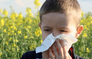 Okula başlayacak 66 aylık alerjik çocuklara dikkat