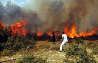 Çameli’de orman yangını