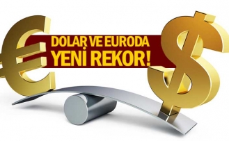 Dolar ve Euro'dan yeni rekor!
