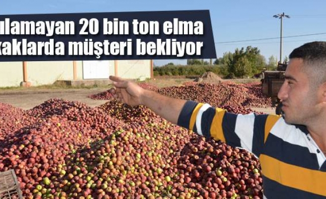 Satılamayan 20 bin ton elma sokaklarda müşteri bekliyor
