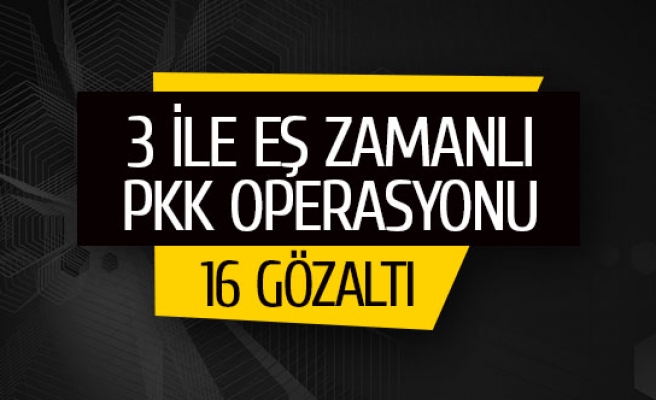 3 ile eş zamanlı PKK operasyonu: 16 gözaltı